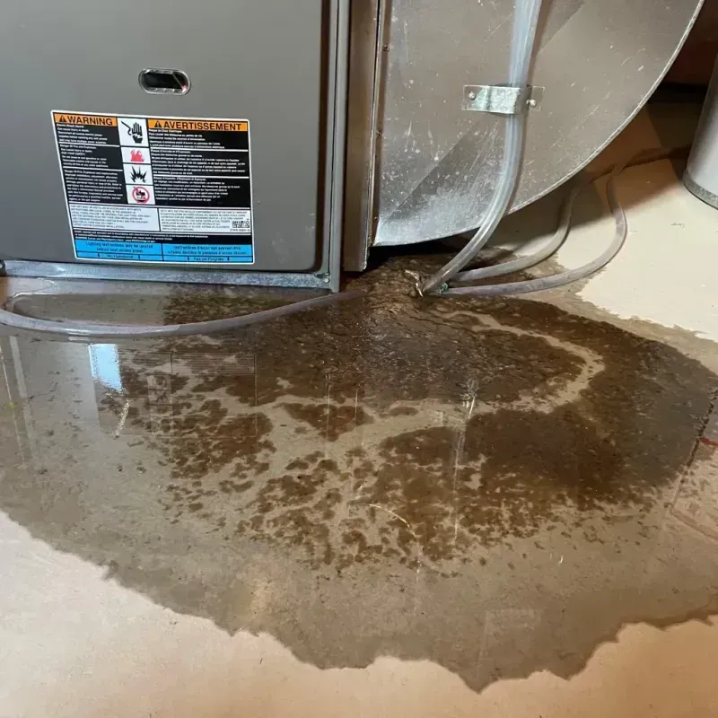 Appliance Leak Cleanup in Hart, TX